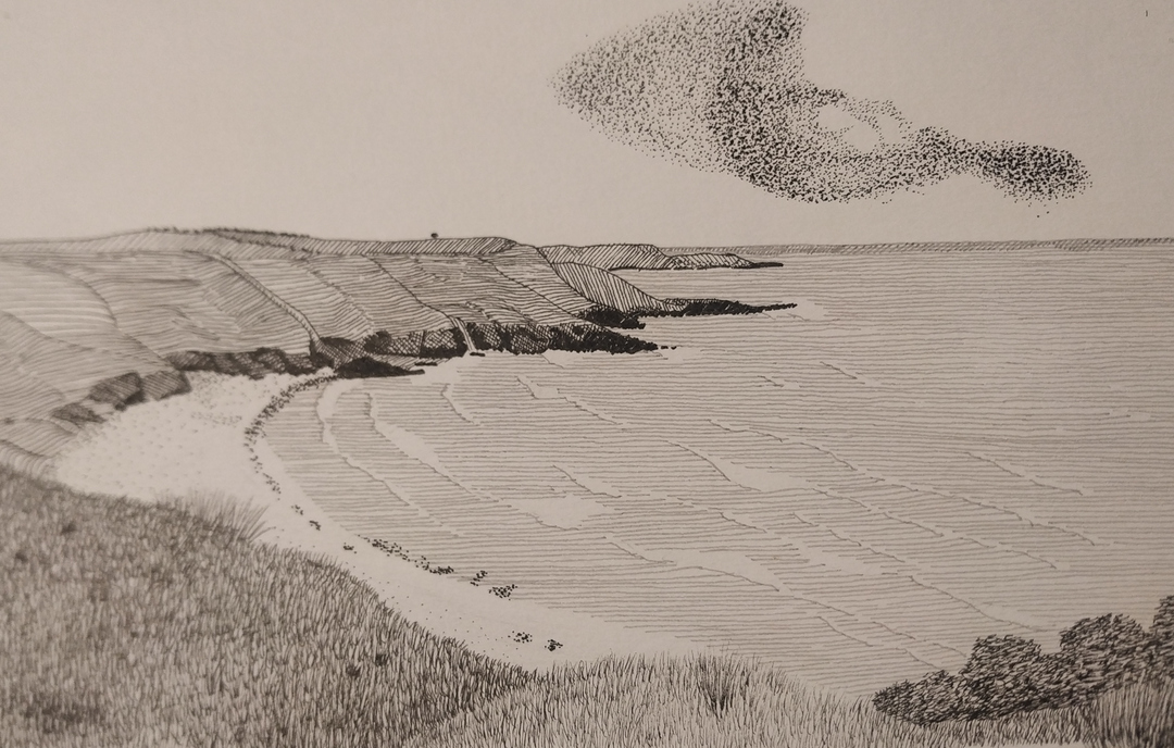 Murmeration