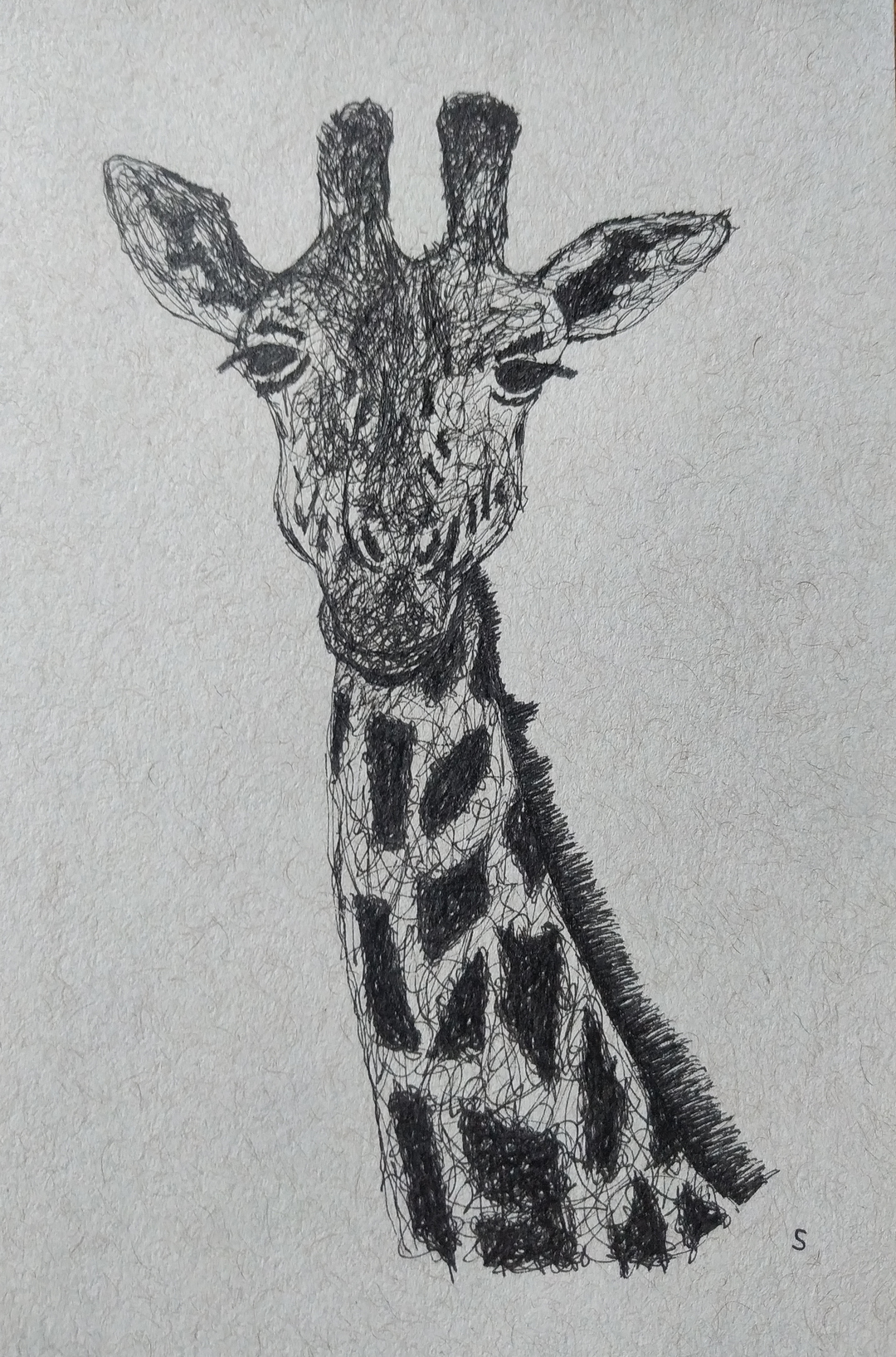 Giraffe