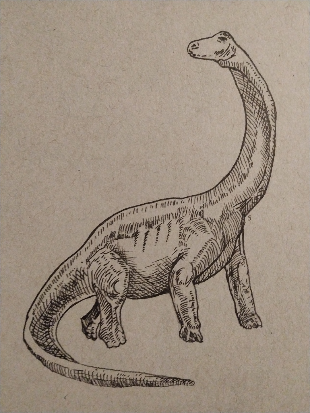 Brontosaurus