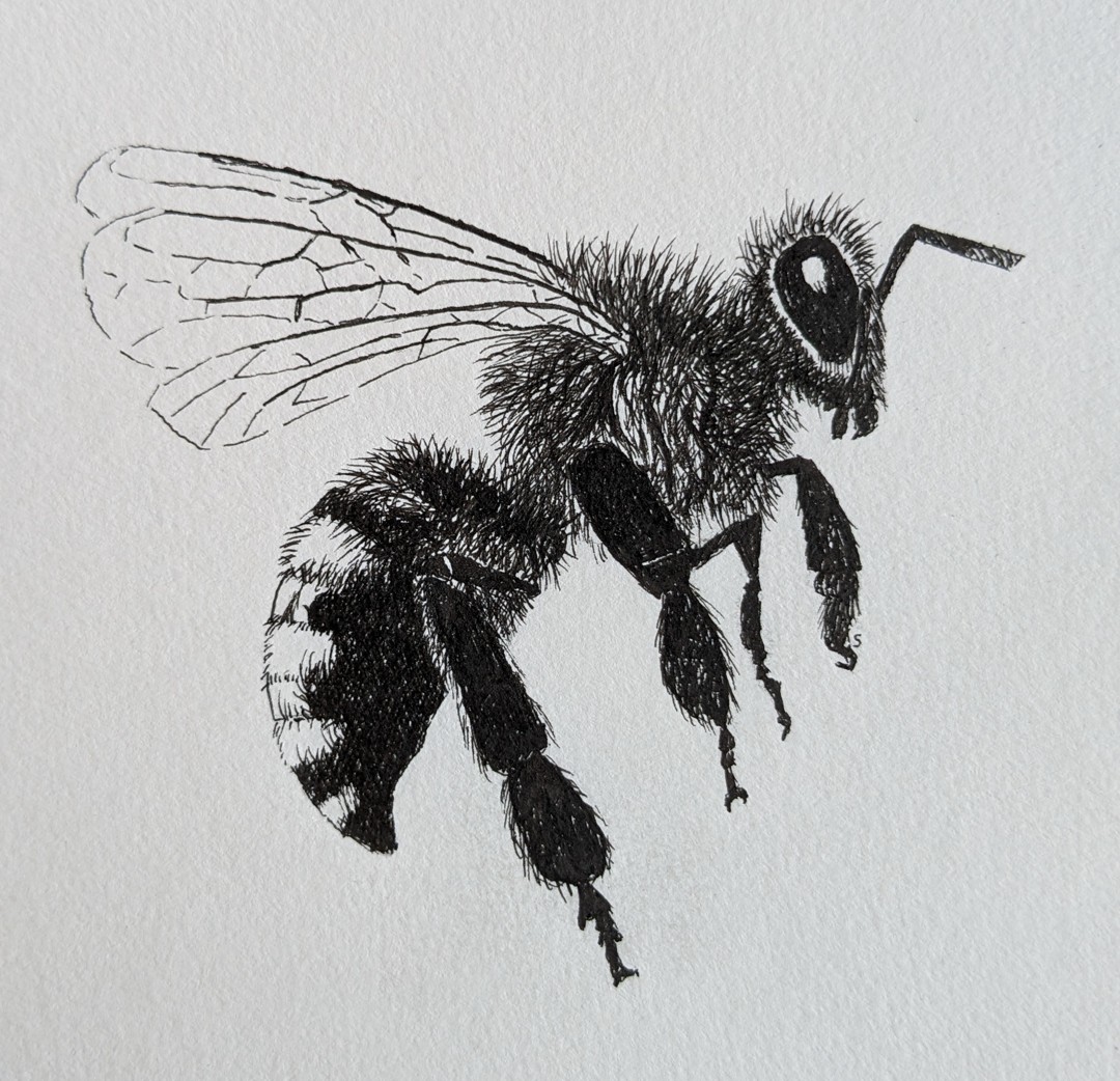 Bee