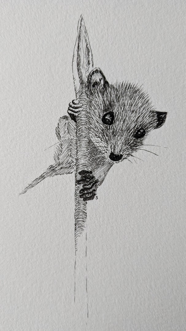 Mouse